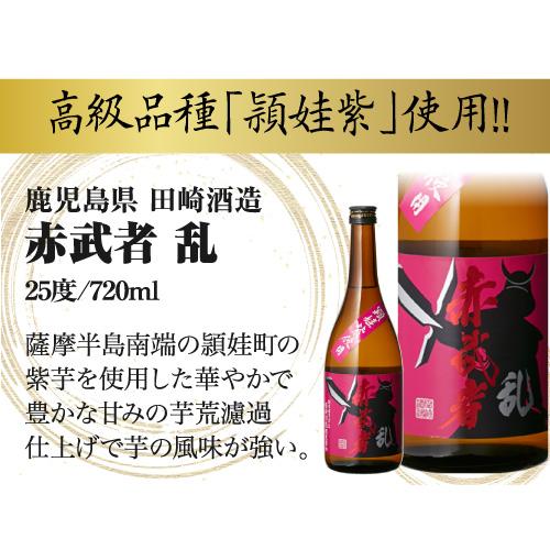 恒松酒造本店 芋焼酎 焼酎 魔王 焼酎セット 10セットに1個魔王が