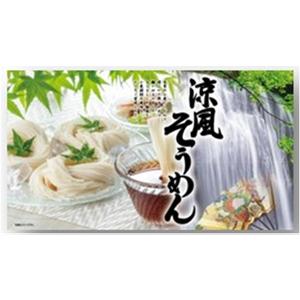 三輪そうめん大手　涼風そうめん　50g×16束　RS-20R | 