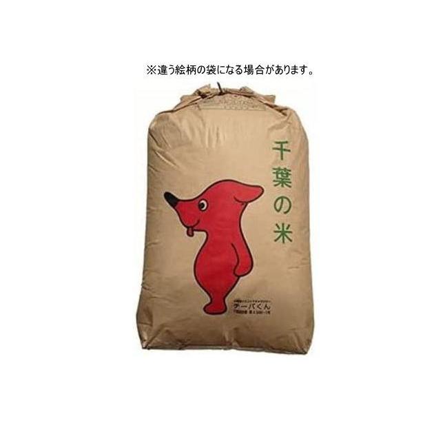 食品］1ケースで1梱包 令和7年 千葉県産 コシヒカリ 【玄米