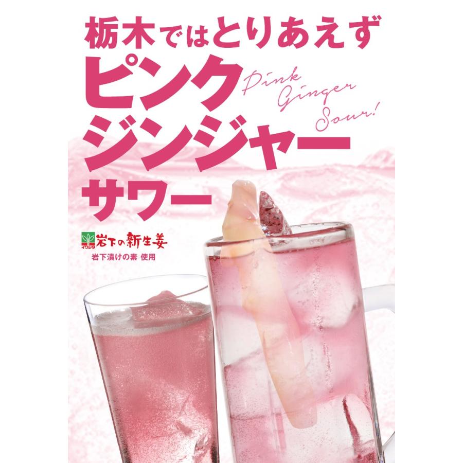 岩下ピンクジンジャー濃縮シロップ 1 0l 1000ml 清涼飲料水 酒のいしかわ 通販 Yahoo ショッピング
