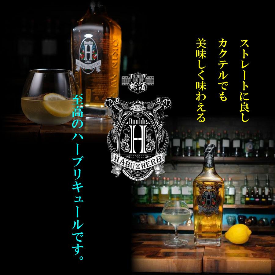 ハーブ系 リキュール Double H ハブ＆ハーブ 30度 750ml 2本セット 