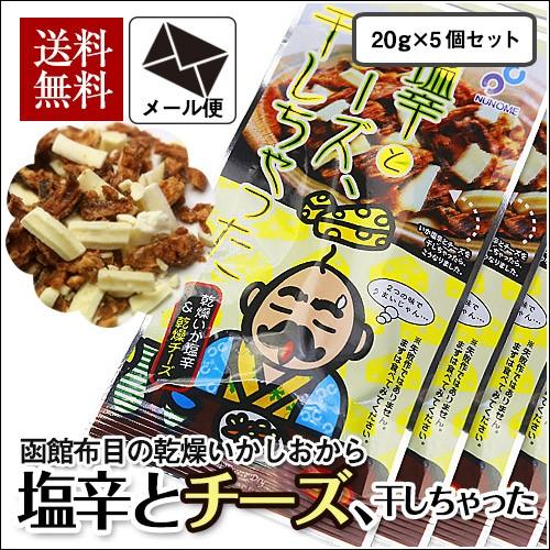 塩辛とチーズ、干しちゃった 20g×5袋セット メール便 布目 北海道 いか お試し 送料無料｜sakenosakana