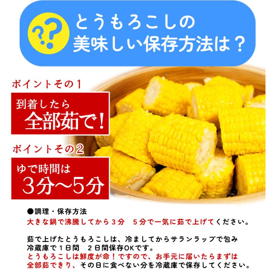 北海道産 朝採れとうもろこし ゴールドラッシュ（一番果） 2L