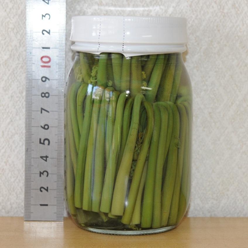 鉤わらび 鉤蕨 かぎわらび 緑 7cm 70本 140g 春の山菜 和え物 天ぷら