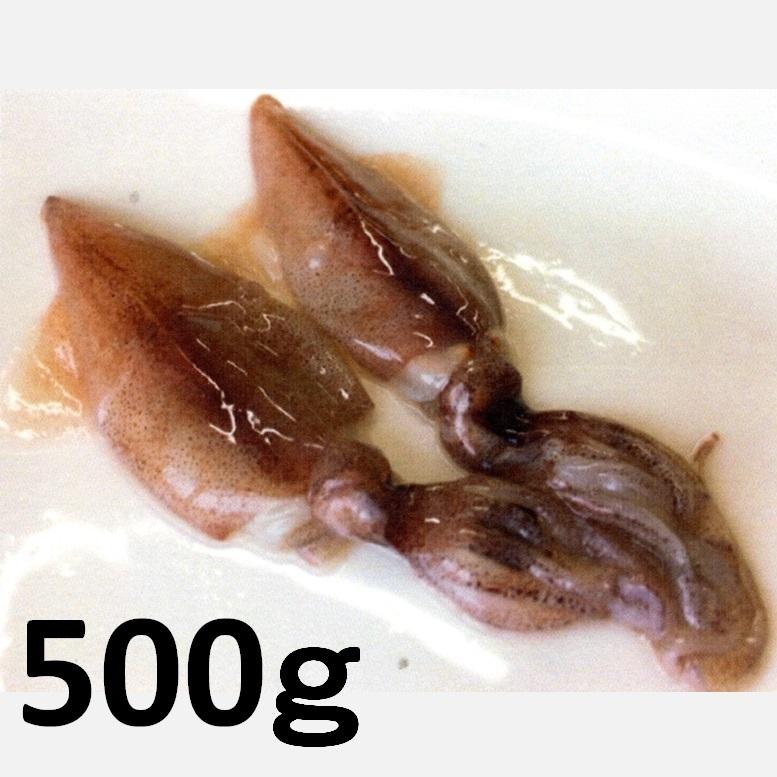 酒の肴やほたるいか 蛍烏賊 刺身用 生食用 目取り バラ凍結 約80 85尾 500ｇ X1パック 業務用 漁獲量日本一 兵庫県 浜坂漁港水揚げ 90 Off