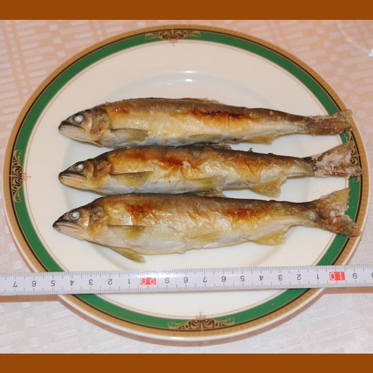 スイカの香りがする養殖あゆ 18尾 X1ボール 和歌山産 国産鮎 冷凍鮎 熊野水産 くまのあゆ 便利な個包装 業務用 仕入れ |  | 02