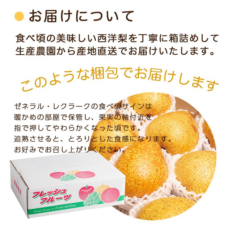 洋梨 ゼネラル・レクラーク 約３kg（約７〜９個） 福島県産 産地直送 ふくしまプライド。体感キャンペーン（果物/野菜）｜sakenosakuraya｜03