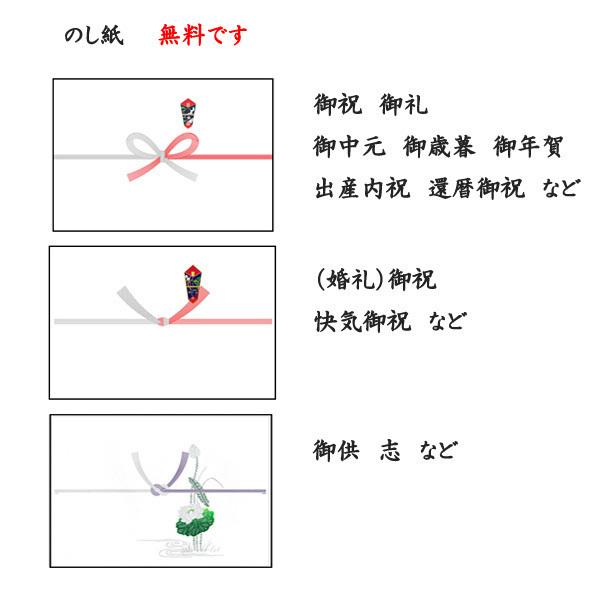 日本酒 大吟醸 氷室 生酒 720ml 2本入 専用箱 二木酒造 飛騨高山 地酒 贈答 お土産 クール便 同梱不可｜saketakuhida｜02