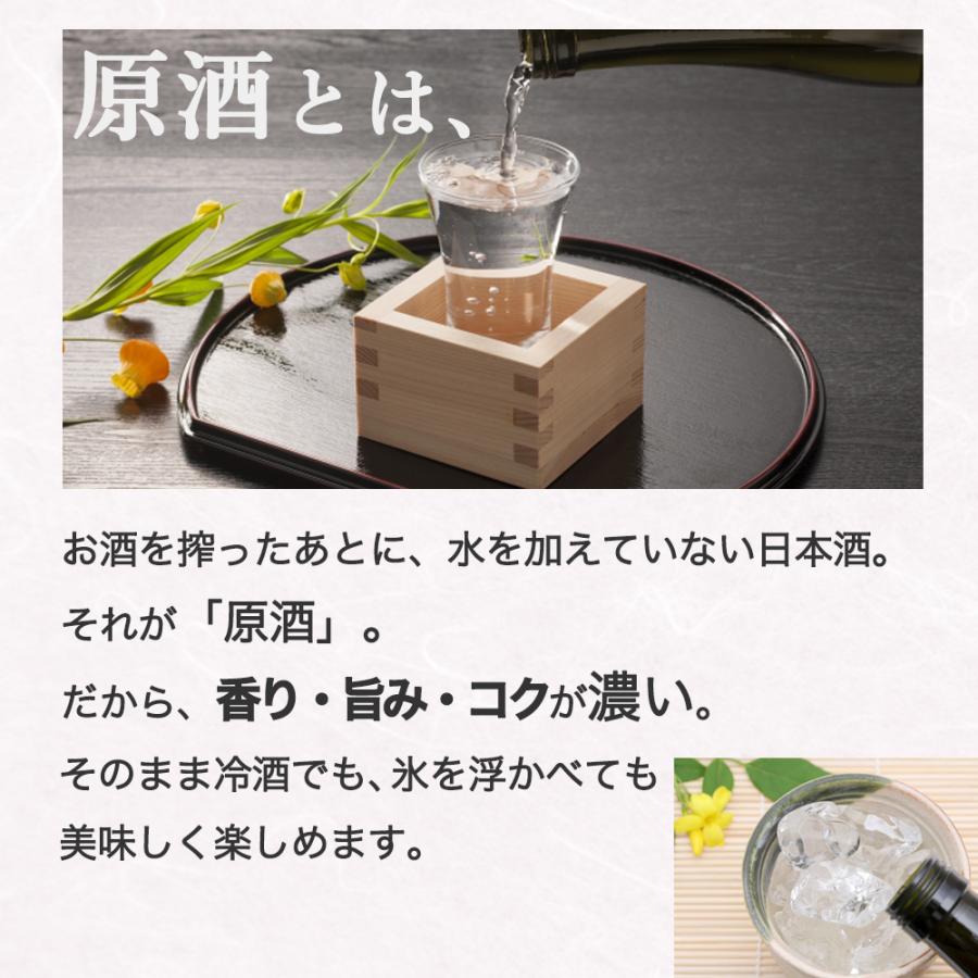 天領・蓬莱 日本酒 セット 720ml 日本酒 飲み比べセット 原酒 濃厚 飛騨の地酒 720ml×3本 天領 蓬莱