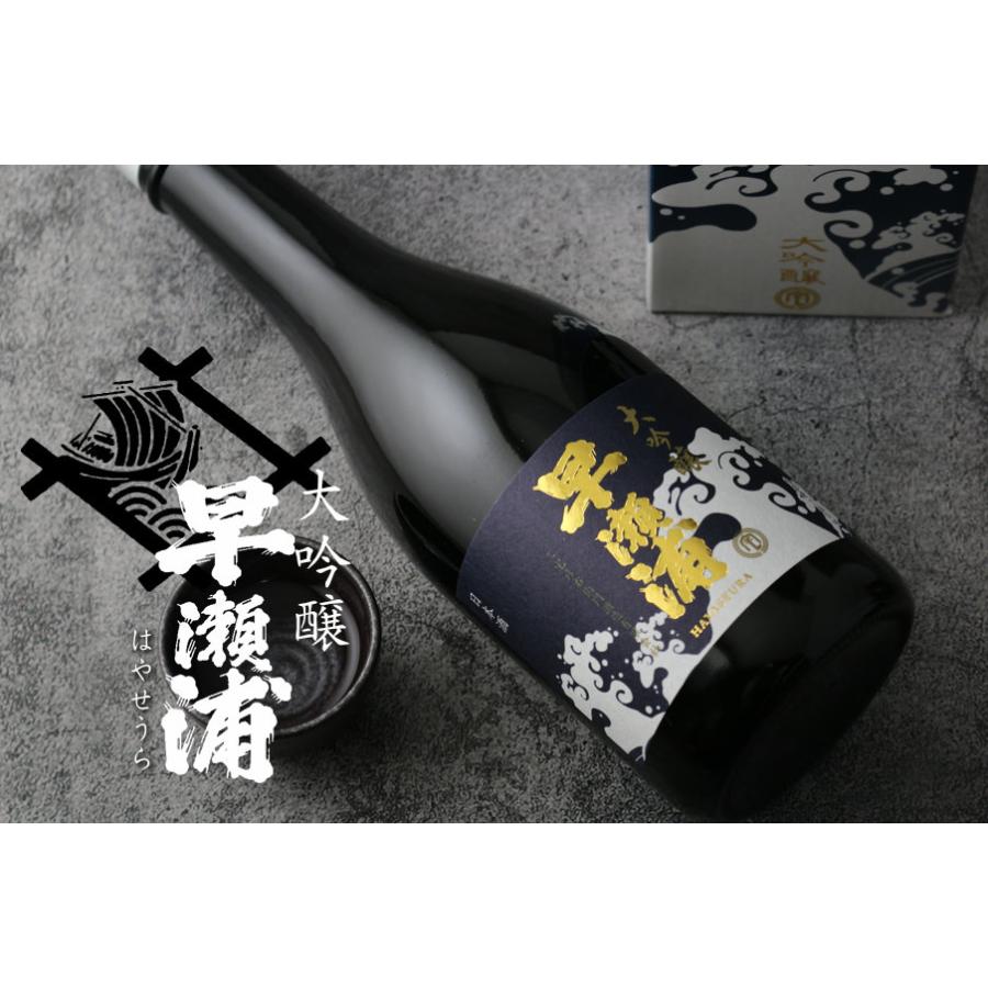 浦正くん 風ォト 早瀬浦 大吟醸 720ml(日本酒 三宅彦右衛門酒造 福井県 はやせうら） 父