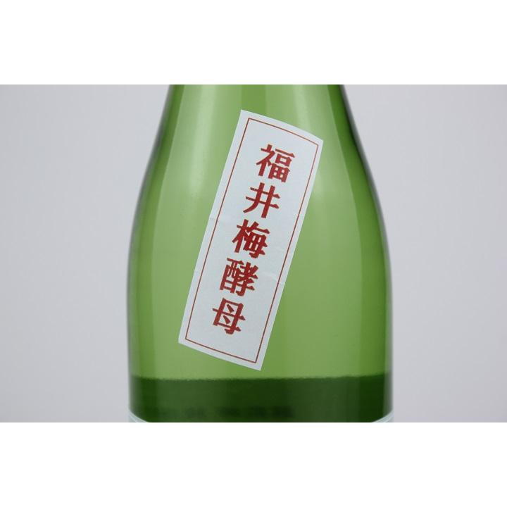 日本酒 越前岬 梅酵母仕込み純米原酒 プリュネ 2024BY 720ml : 越前