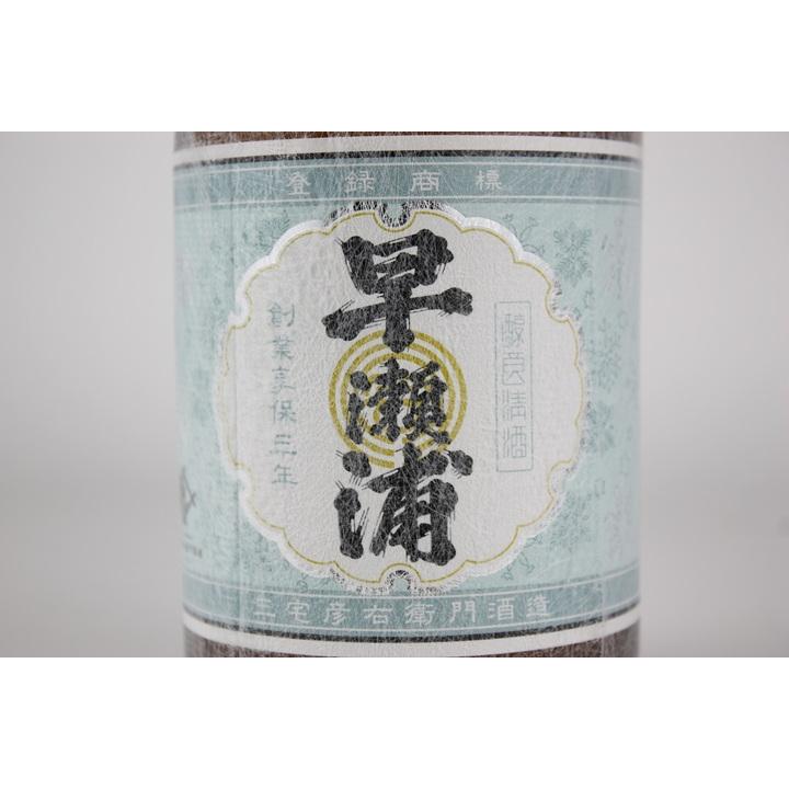 日本酒 早瀬浦 特別純米ひやしさけ 720ml : 越前福井の地酒 やま甚