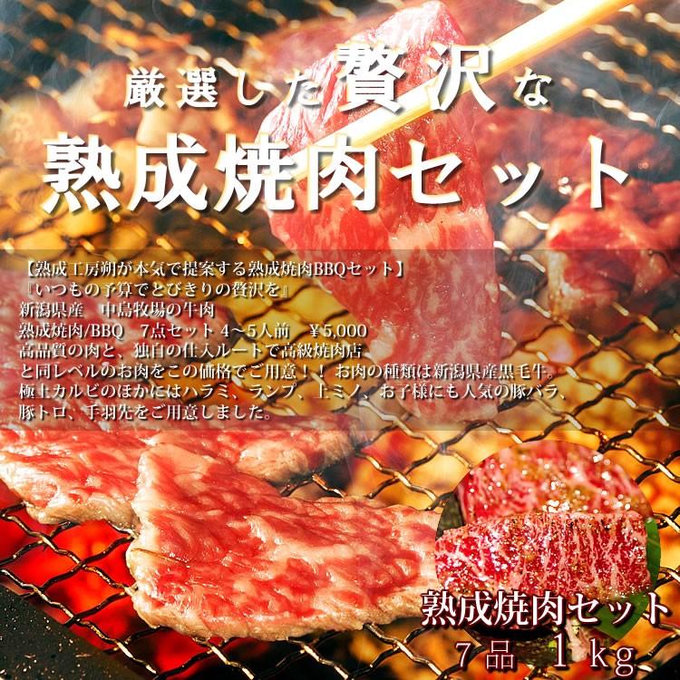 焼肉セット 贈答用 合計1kg 黒毛カルビ ハラミ ランプ 豚バラ 上ミノ 豚トロ 国産手羽先 4 5人前 お中元 Www Arilab Com Tr Index Php