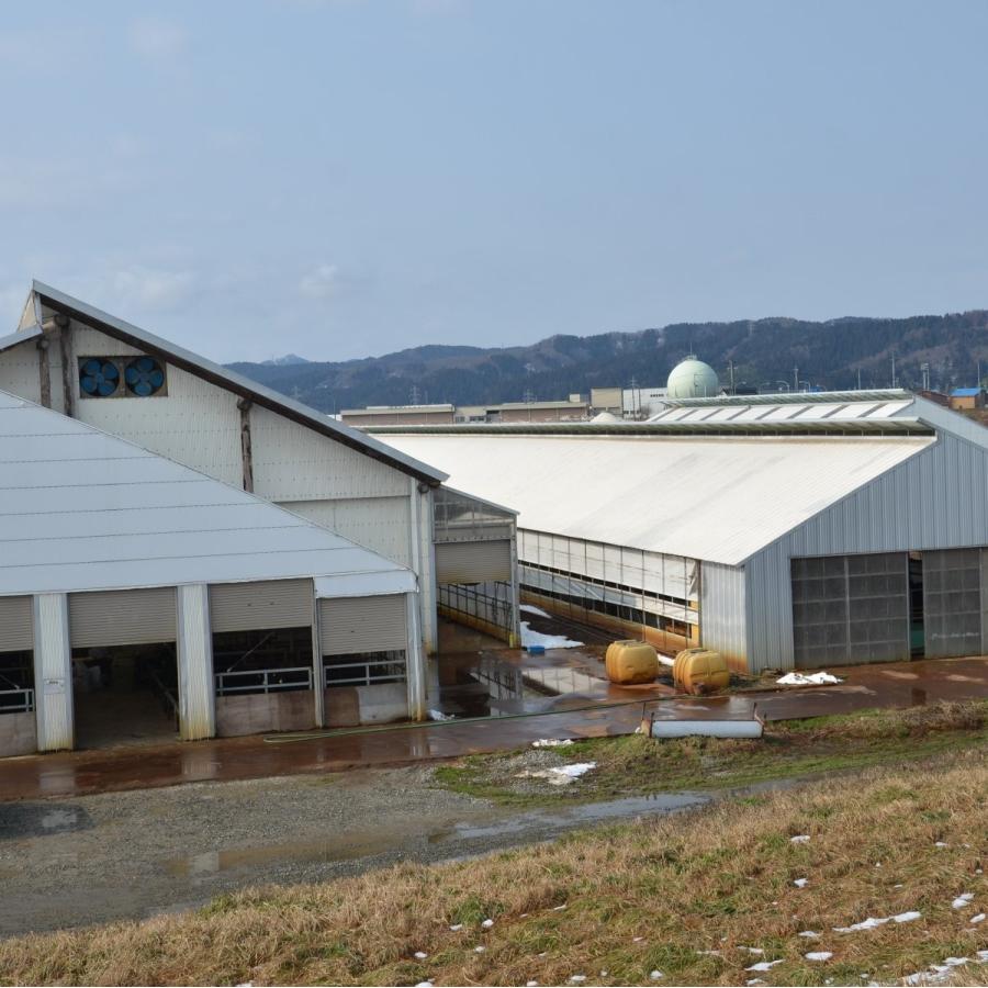 中島牧場 牛サーロイン ステーキ 1ポンド(450g) 国産　贈答用　お祝い  国産 |  | 02