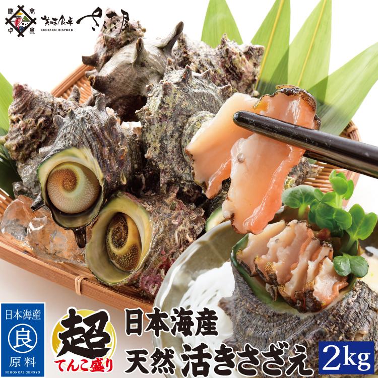 海鮮 qセット バーベキューセット 日本海産 天然活さざえ ２kg 14 26個 冷蔵便 Zernotok Com