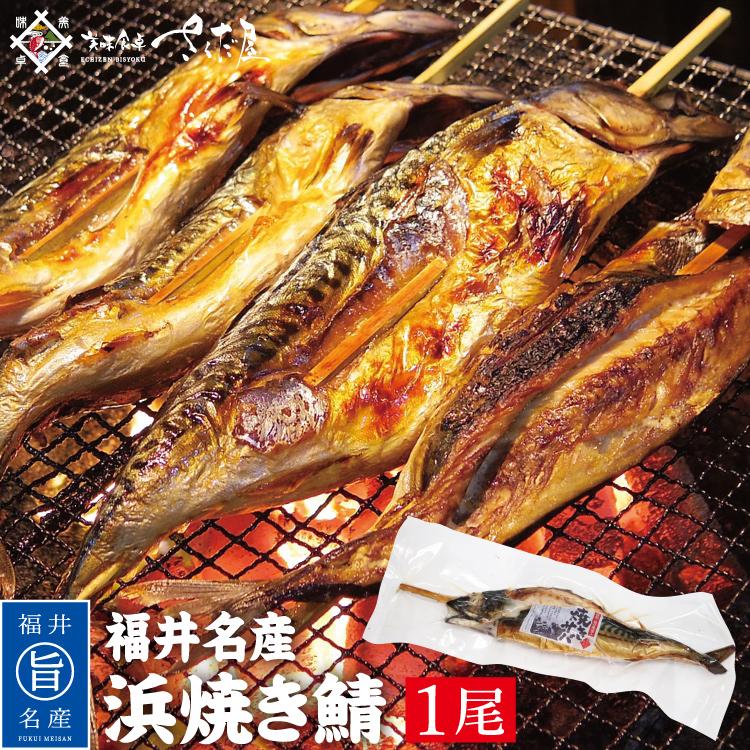 海鮮 BBQセット バーベキューセット 焼鯖 浜焼きさば 焼き鯖 30センチ