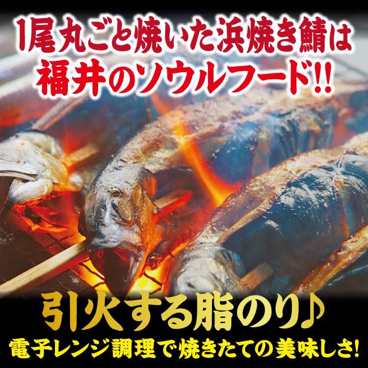 海鮮 BBQセット バーベキューセット 焼鯖 浜焼きさば 焼き鯖 30センチ