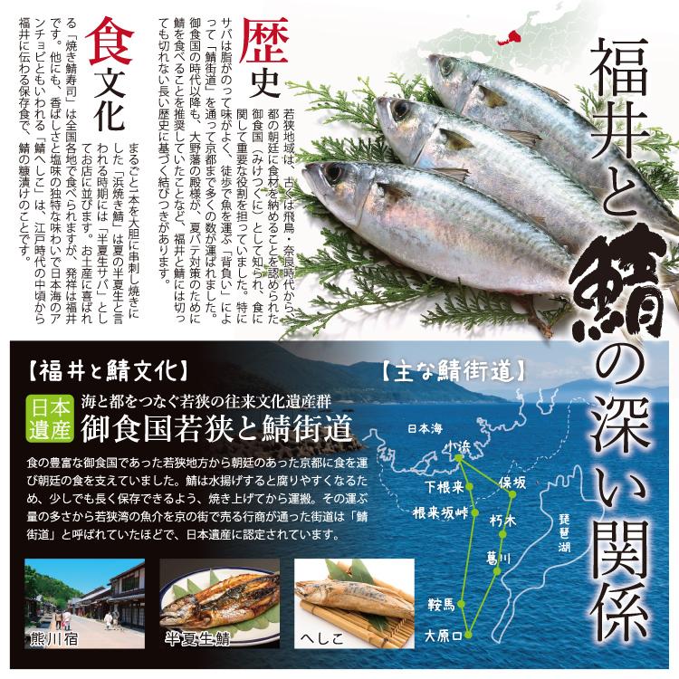 海鮮 BBQセット バーベキューセット 焼鯖 浜焼きさば 焼き鯖 30センチ