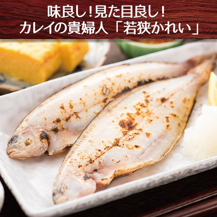 若狭カレイ 一夜干し カレイの一夜干し 干物 3尾パック 無添加 天神講 天神 美味食卓さくだや 通販 Yahoo ショッピング