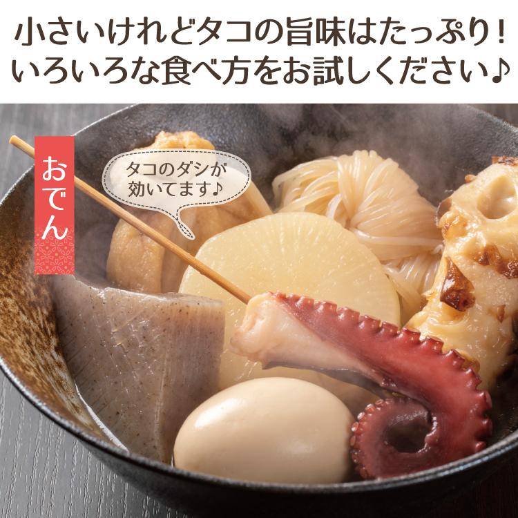 水ダコ バーベキューセット 福井県産 ミズダコ ミニサイズ 500g 冷凍便