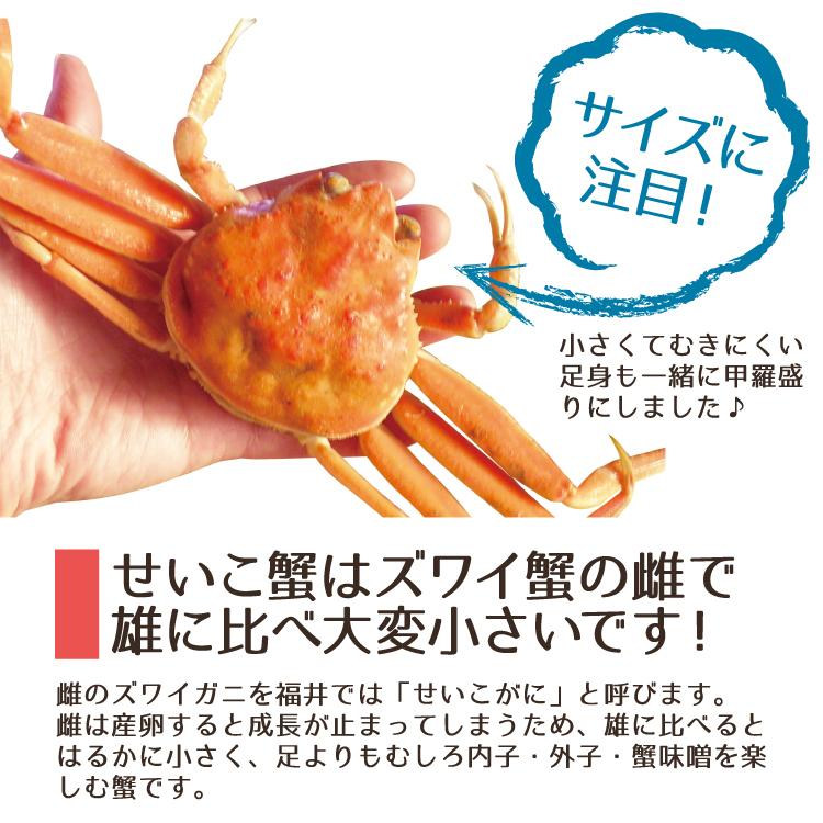 蟹漁解禁 香箱蟹 せいこ 貴重な最大サイズ 210 230g 1匹 浜茹で 産地直送 お取寄せ 5匹以上のご注文で送料無料 Koubako 210 230 加賀 橋立港 マルヤ水産 通販 のとコム 店 送料無料 能登半島 香箱蟹 甲箱蟹 こうばこがに 10杯セット Zahnarzt Franz De