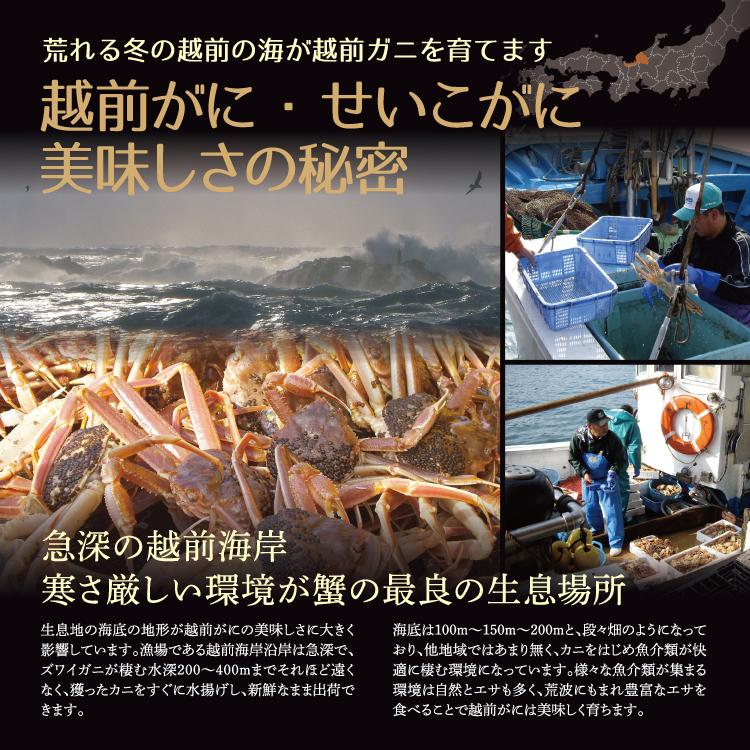 セイコガニ 香箱蟹 福井県産 山陰産 甲羅盛り せいこ蟹 数量限定 5個セット カニ面にも【冷凍便】|sakudaya|04