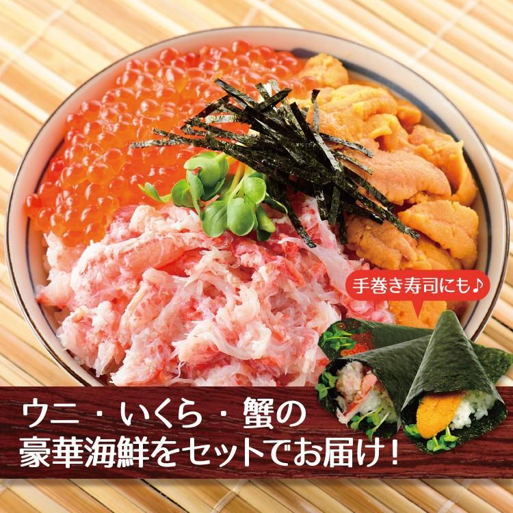 人気no 1 本体 おうち時間応援 ウニ カニ いくらのたっぷり海鮮丼セット 約8杯分 冷凍便 在庫有 Blog Lonolife Com