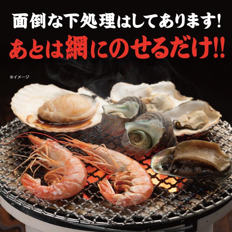 バーベキューセット B 海鮮 BBQセット 5種14品 3〜4人前 冷凍便 爆買