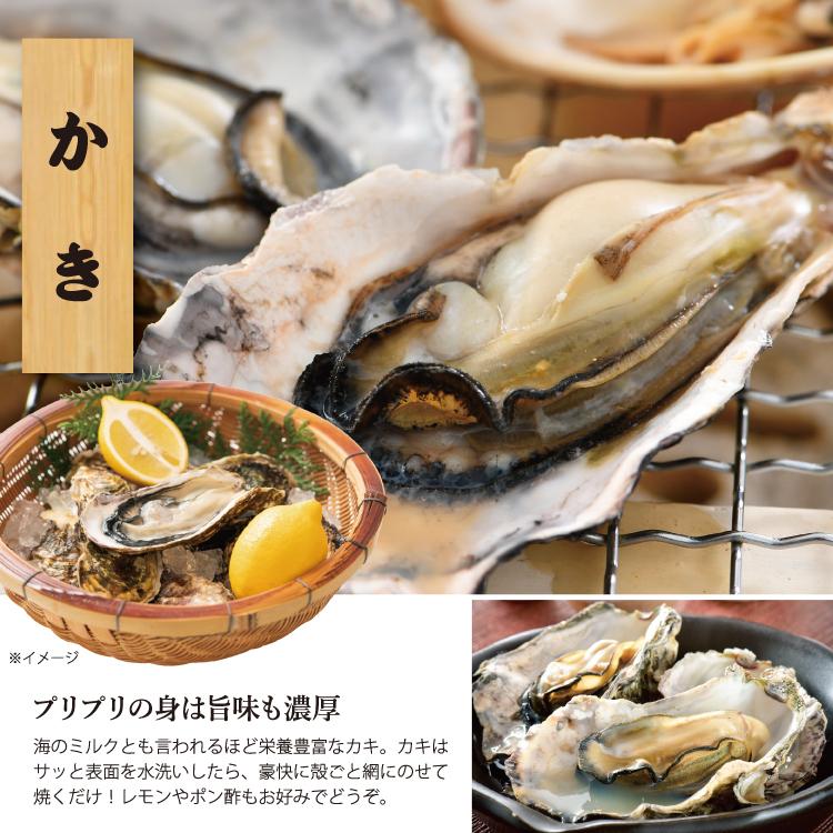 バーベキューセット B 海鮮 BBQセット 5種14品 3〜4人前 冷凍便
