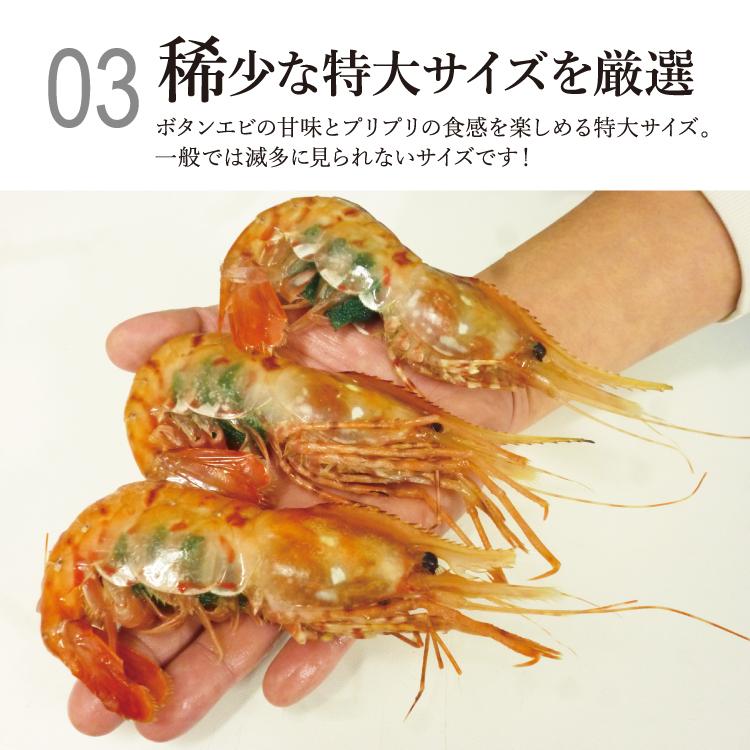 天然ジャンボぼたんえび 1kg 特大サイズ 14〜16尾 生食可 冷凍便  父の日｜sakudaya｜05