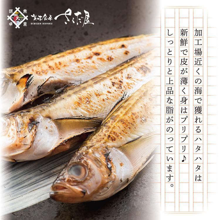 ハタハタ 干物 大きめ 越前 580g 15 尾前後 はたはた 再販ご予約限定送料無料 冷凍便