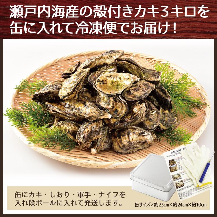 ガンガン焼き 海鮮 BBQセット バーベキューセット 牡蠣缶 3kg 70個前後 かき カキ 冷凍便  父の日｜sakudaya｜08