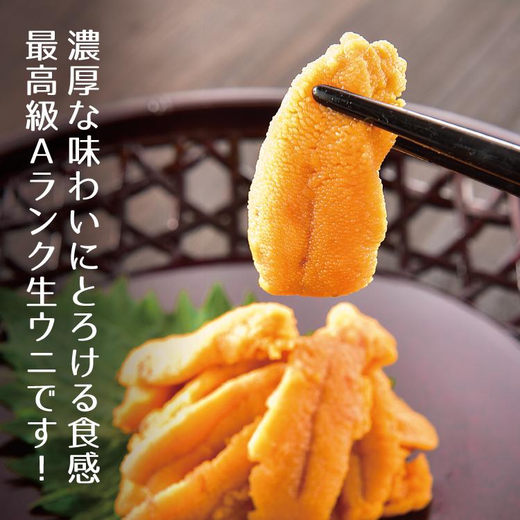 天然ウニ 雲丹 Aランク 100g 添加物不使用 うに 生食用 冷凍便 お年賀