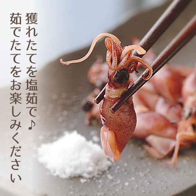 ほたるいか ホタルイカ 桜煮 1kg 500g×2 日本海産 蛍烏賊 冷蔵便 ほたるいか ホタルイカ 桜煮 1kg 500g×2 日本海産 蛍烏賊 冷蔵便