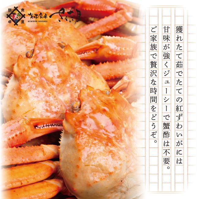 訳あり 越前産 茹で紅ズワイガニ姿たっぷり５杯 1杯600 800g 獲れたて浜茹で即日発送 冷蔵便 信頼