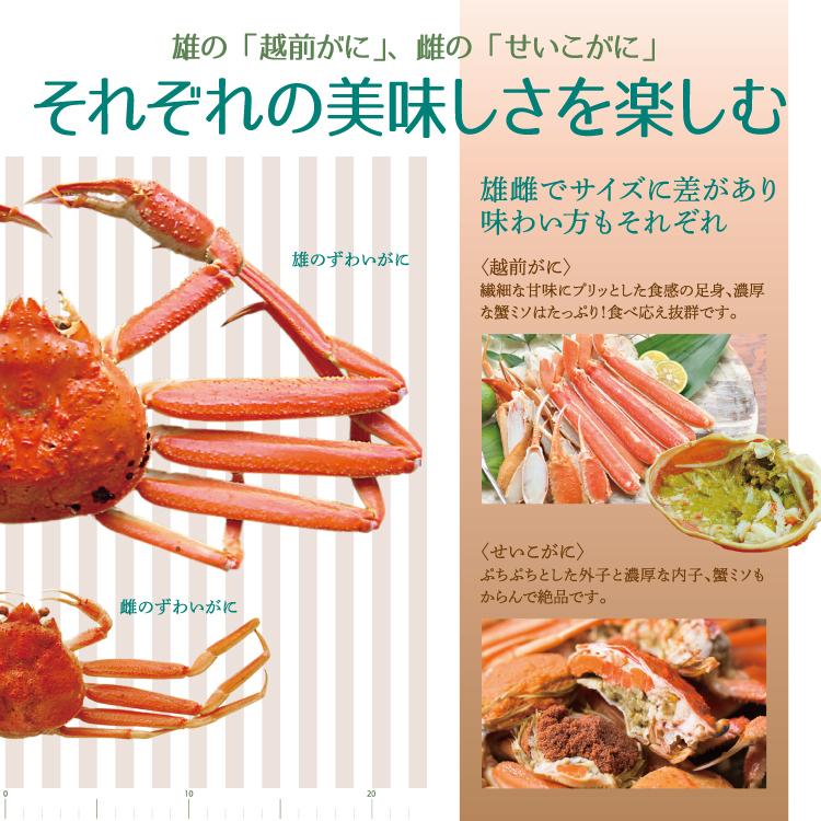 在庫あり 即納 ズワイガニ 甲羅盛り 越前がに 大サイズ ずわいがに 本ズワイ 冷凍便 手数料安い Kuljic Com