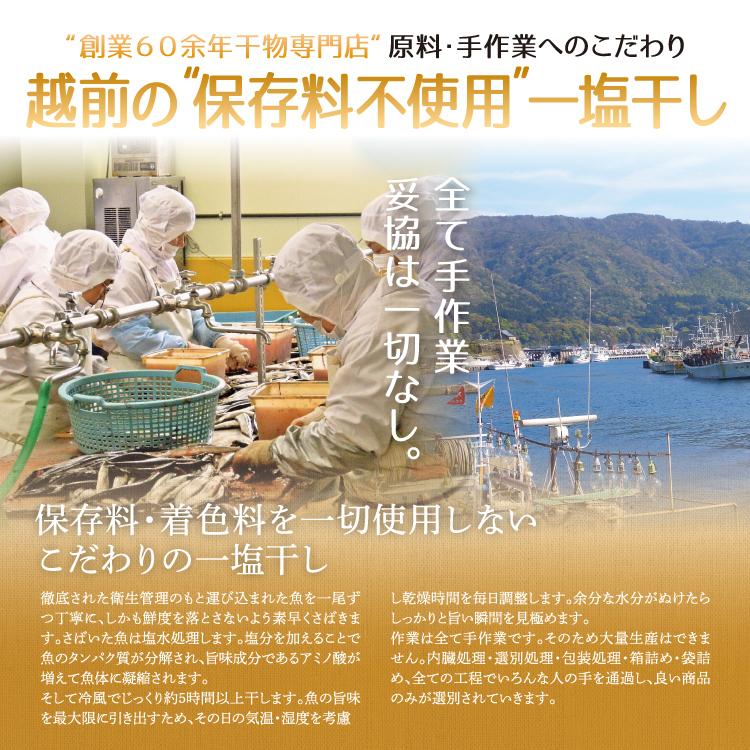 日替わり干物セット 市場直送おまかせ干物 ８種 当店目利きが選んだ旬の魚の干物 オススメを厳選 何が届くかはお楽しみ 冷凍便  父の日｜sakudaya｜08