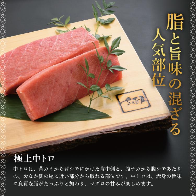 本マグロ 中トロ 100g 刺身 鮪 ブロック 解凍レシピ付でお届け 冷凍