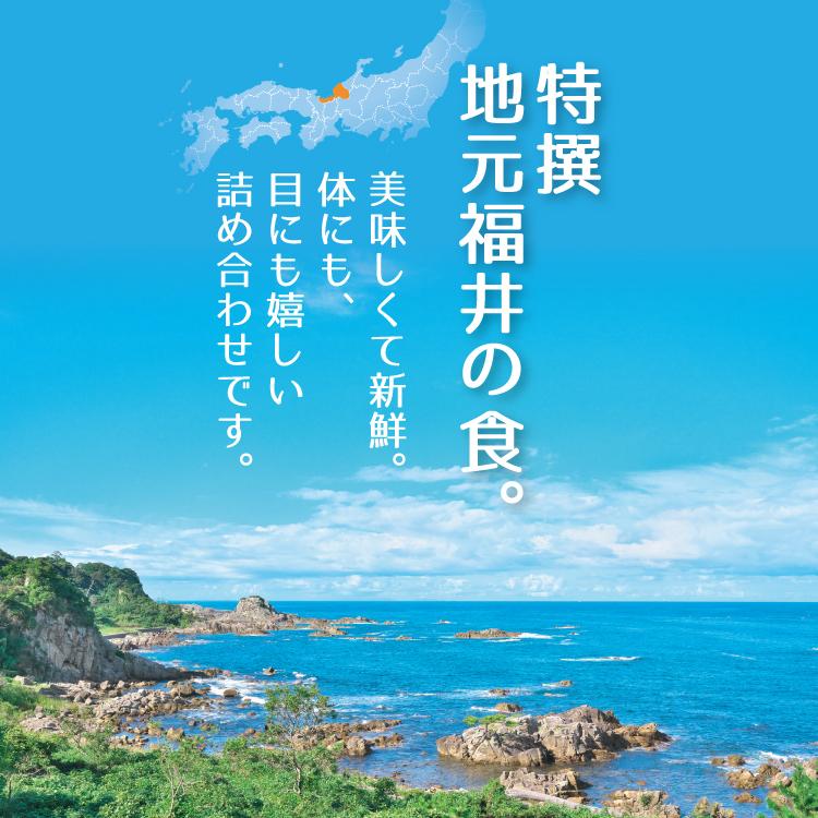 越前海鮮ぶっかけの具 ３種×３箱セット 甘えび ふくいサーモン ベニズワイガニ 冷凍便  刺身 漬け 小分け 海鮮丼の具 魚介類 水産加工品 送料無料｜sakudaya｜02