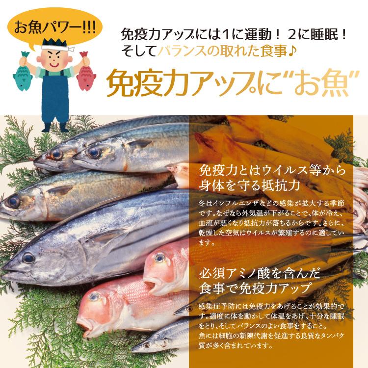 干物セット 訳あり4種類 合計1kg 以上 保存料不使用 冷凍便 送料無料 母の日 父の日｜sakudaya｜10