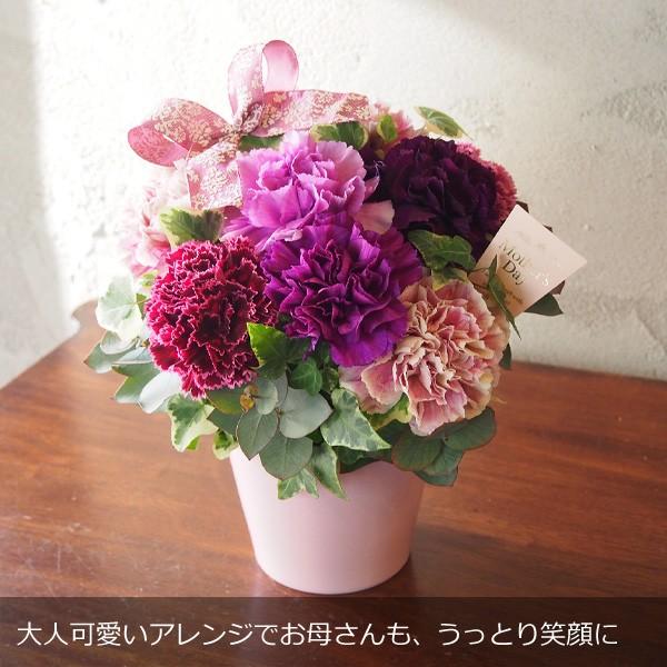 母の日 ムーンダスト カーネーションと大輪カーネーションの大人可愛いミックスアレンジ Moondust Box Y お花屋さんの手帳 通販 Yahoo ショッピング