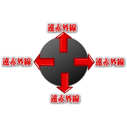 遠赤外線セラミックボール 直径6.2ミリ/100g : 桜堂 - 通販
