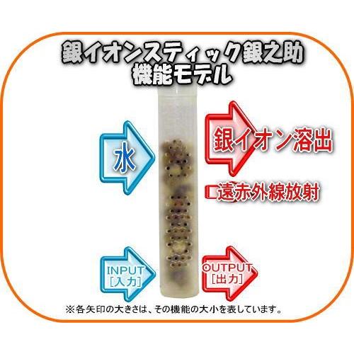 銀イオンスティック銀之助 : 桜堂 - 通販 - Yahoo!ショッピング