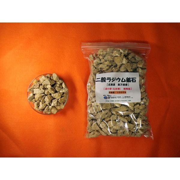 二股ラジウム鉱石 湯の華 [北海道 長万部産]500g : 桜堂 - 通販