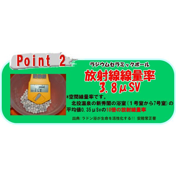 ラジウム健康の湯　エメラルドグリーン　ＲＥ２０_3