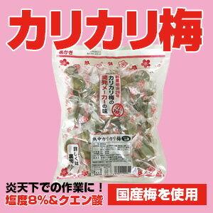梅干し カリカリ梅 種あり 約40粒入 2袋 塩分補給 かりかり梅 猛暑対策 熱中症対策 暑さ対策 熱中飴 塩飴 074 1 Sakura Elec 通販 Yahoo ショッピング