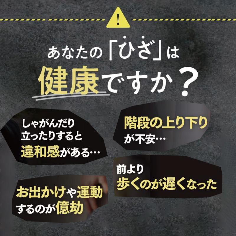 あゆみ ひざ 膝 関節 サプリ コラーゲン プロテオグリカン ブラック