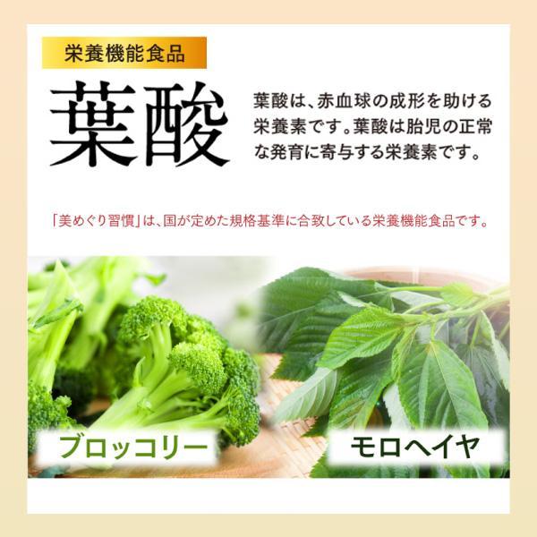 さくらの森 ヘム鉄 鉄分 サプリ 葉酸 鉄 女性 妊婦 ビタミン 亜鉛 鉄分
