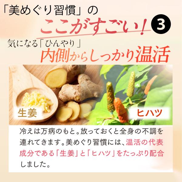 さくらの森 ヘム鉄 鉄分 サプリ 葉酸 鉄 女性 妊婦 ビタミン 亜鉛 鉄分