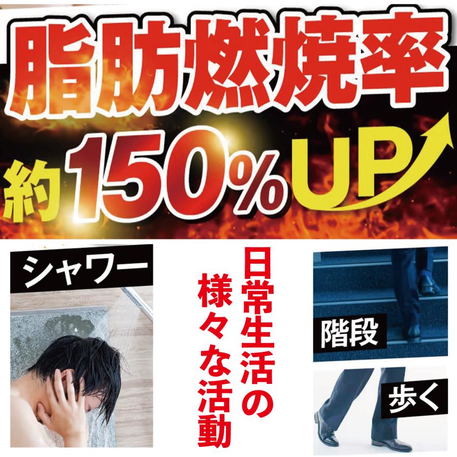 さくらの森 ダイエットサプリ ブラックジンジャー 脂肪燃焼 さくらの森 ダイエットサプリ ブラックジンジャー 脂肪燃焼
